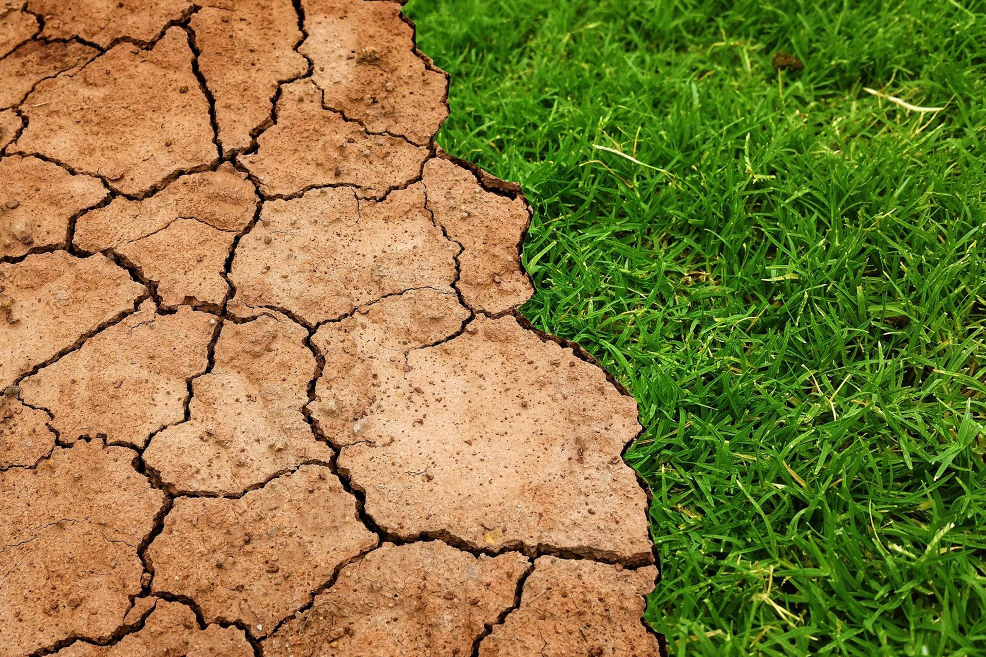climate_change