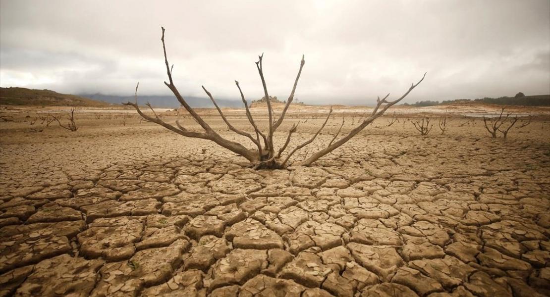 climate change