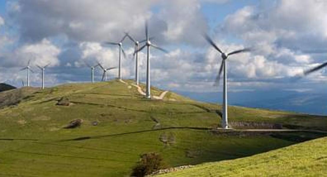 green transition